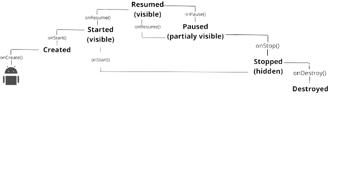 Ciclo Activity