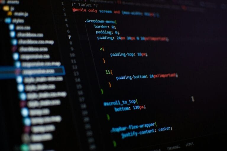 Sviluppo Web-CSS-Responsive